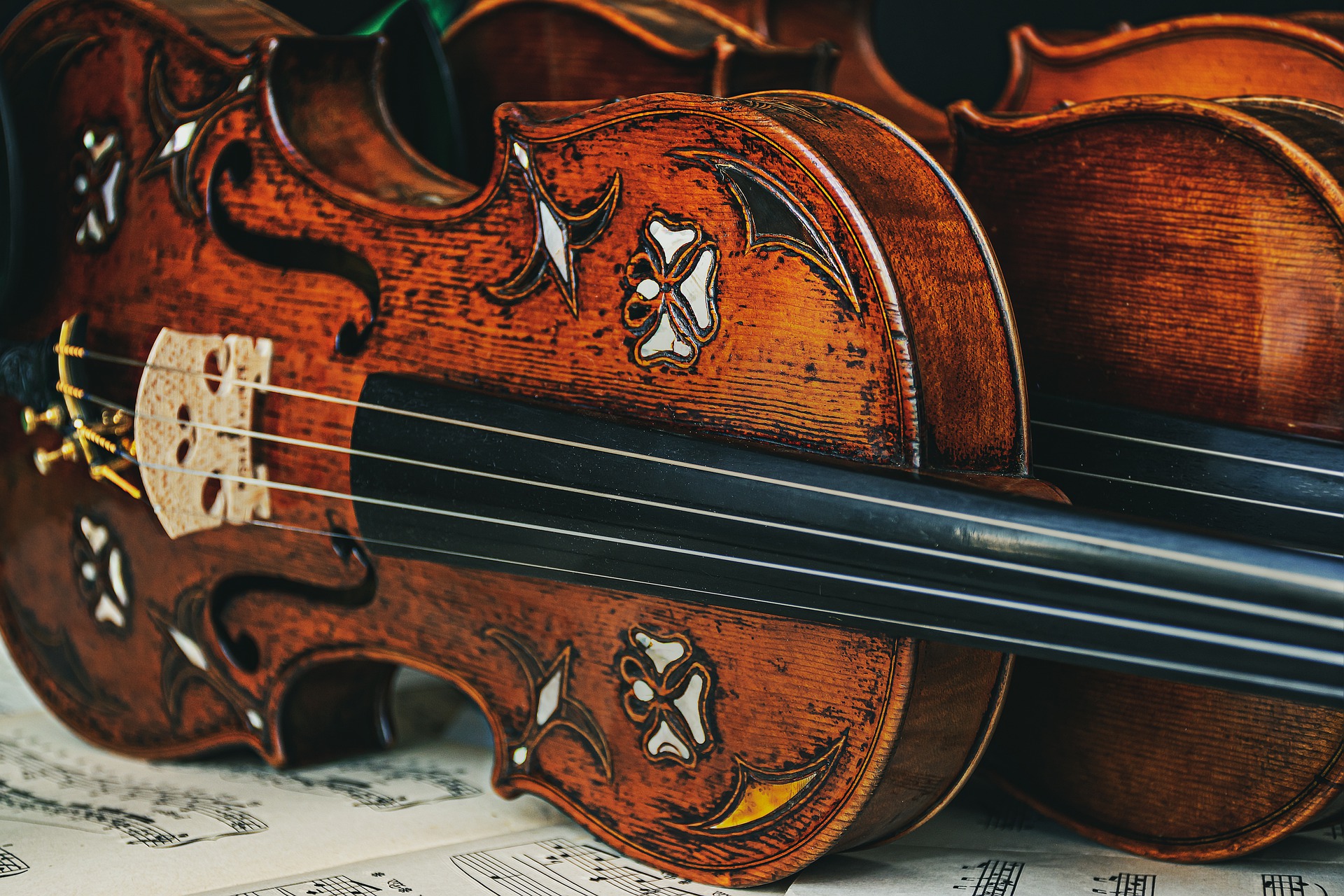 violiner